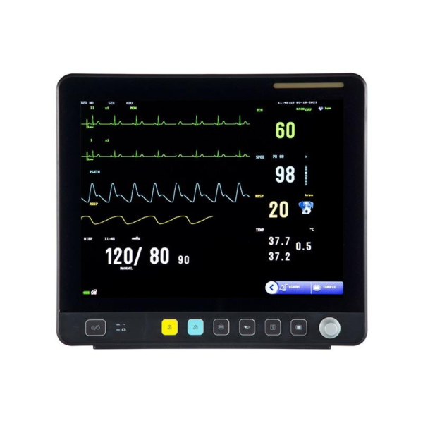 15-Inch Module Monitor