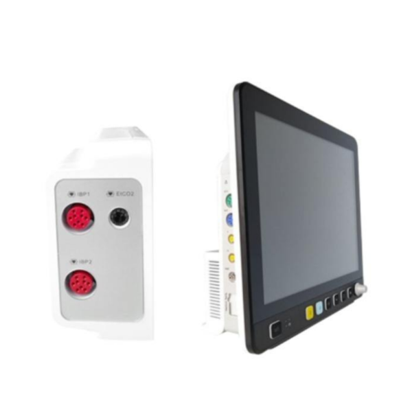 15-Inch Module Monitor