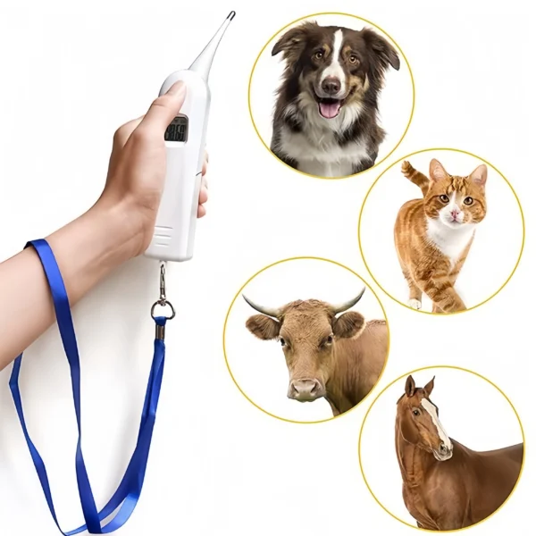 Animal Thermometer - Advanced