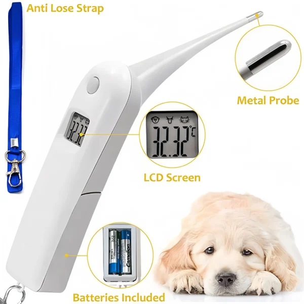 Animal Thermometer - Advanced