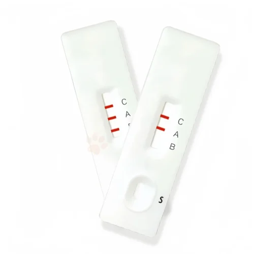 Blood Typing - Feiline