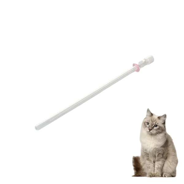 Cat catheter (2) Cat Cathter