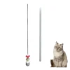 Cat catheter (5) Cat Cathter